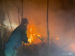 Firefighters Brave Canals and Dense Forests to Battle Ca Mau Forest Fire - image 4