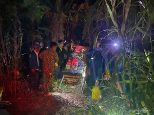 Firefighters Brave Canals and Dense Forests to Battle Ca Mau Forest Fire - image 7