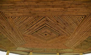 The Engineering Marvel of Bac Giang: Inside Vietnam's Unique 360-Degree Rotating House - image 1