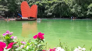 Ultimate Travel Guide to Cat Ba National Park: Vietnam's Breathtaking Natural Wonder - image 2