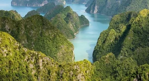 Ultimate Travel Guide to Cat Ba National Park: Vietnam's Breathtaking Natural Wonder - image 6