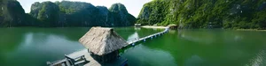 Ultimate Travel Guide to Cat Ba National Park: Vietnam's Breathtaking Natural Wonder - image 0