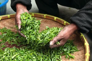 8 Most Expensive and Rare Teas in the World - image 6