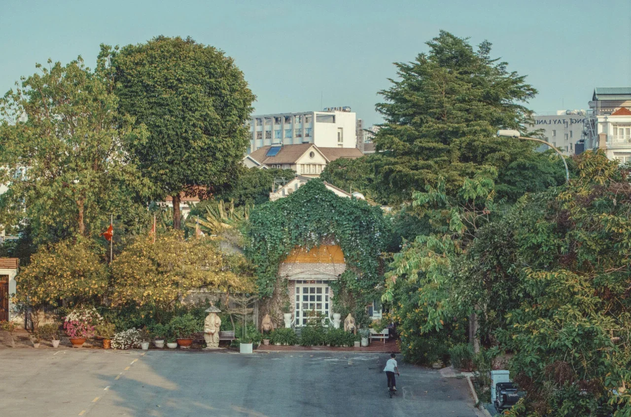 Eco-Friendly Green Plant Curtains: Natural Cooling for West-Facing Homes