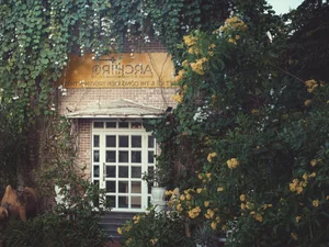 Eco-Friendly Green Plant Curtains: Natural Cooling for West-Facing Homes - image 7