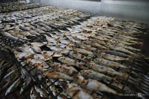 Nge An’s Largest Grilled Fish Village Prepares for the Lunar New Year Rush - image 5