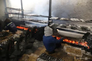 Nge An’s Largest Grilled Fish Village Prepares for the Lunar New Year Rush - image 9
