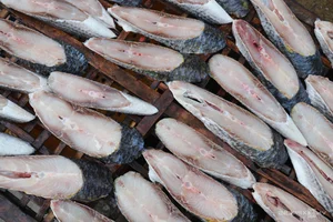 Nge An’s Largest Grilled Fish Village Prepares for the Lunar New Year Rush - image 4