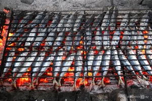 Nge An’s Largest Grilled Fish Village Prepares for the Lunar New Year Rush - image 6