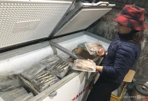 Nge An’s Largest Grilled Fish Village Prepares for the Lunar New Year Rush - image 11