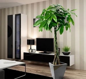 Top 3 Feng Shui Plants the Wealthy Keep to Attract Prosperity - image 3