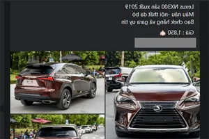 Used 2019 Lexus NX300 for Sale in Hanoi: Luxury at a Price - image 6