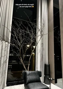 Inside the Luxurious Tet Decorations of Vietnamese Rich Kid Nguyen Thanh Tu’s Stunning Villa - image 9