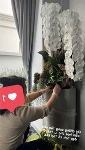 Inside the Luxurious Tet Decorations of Vietnamese Rich Kid Nguyen Thanh Tu’s Stunning Villa - image 2