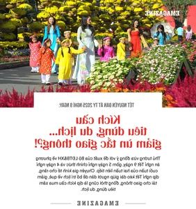 Balancing Growth: Boosting Tourism and Consumption while Solving Traffic Congestion - image 6