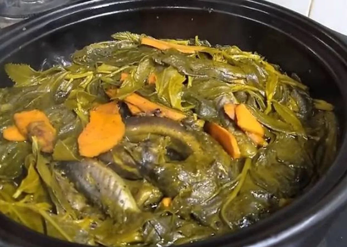 3 Rare Hedge Leaves Transformed into Gourmet Delicacies Worth Their Weight in Gold