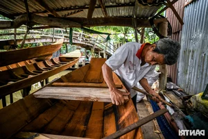 Preserving the Soul of the Mekong: Traditional Boat Building Heritage in Vietnam - image 8