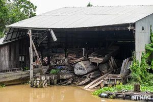 Preserving the Soul of the Mekong: Traditional Boat Building Heritage in Vietnam - image 5