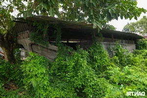 Preserving the Soul of the Mekong: Traditional Boat Building Heritage in Vietnam - image 4