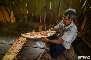 Preserving the Soul of the Mekong: Traditional Boat Building Heritage in Vietnam - image 9