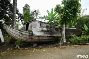 Preserving the Soul of the Mekong: Traditional Boat Building Heritage in Vietnam - image 2