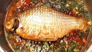 Rare Fish Species Revived from Extinction Becomes Million-Dollar Luxury Delicacy - image 9