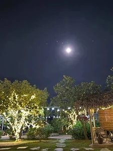 The 2024 Strawberry Supermoon: A Glowing Spectacle Over Vietnam - image 15