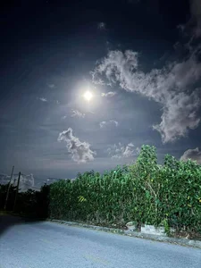 The 2024 Strawberry Supermoon: A Glowing Spectacle Over Vietnam - image 11