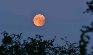 The 2024 Strawberry Supermoon: A Glowing Spectacle Over Vietnam - image 16