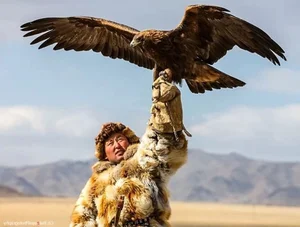 The Expensive Hobby of Raising Predatory Birds Among Wealthy Vietnamese Enthusiasts - image 3