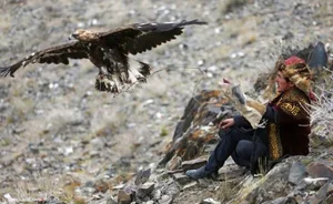 The Expensive Hobby of Raising Predatory Birds Among Wealthy Vietnamese Enthusiasts - image 2
