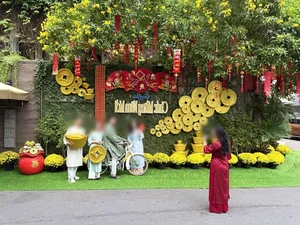 Inside the Luxurious Tet 2025 Home Decorations of Top Vietnamese Celebrities - image 3