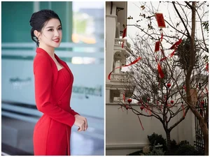 Inside the Luxurious Tet 2025 Home Decorations of Top Vietnamese Celebrities - image 1