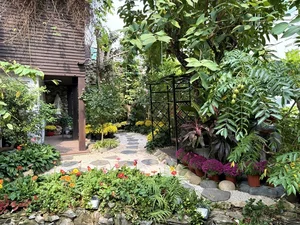 Inside the Luxurious Tet 2025 Home Decorations of Top Vietnamese Celebrities - image 2