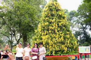 Ho Chi Minh City Spring Flower Festival: A Vibrant Celebration of Rare Blooms and Culture - image 1