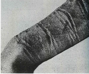 Three Mind-Bending True Stories of Reincarnation That Baffle Experts - image 1