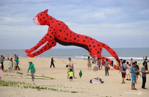 International Kite Festival in Quang Nam: 13 Nations Paint the Vietnamese Sky - image 1