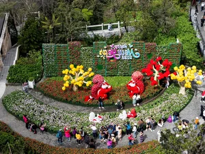 Thousands of Tourists Flock to Ba Na Hills for Spectacular Views - image 6
