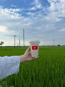 Experience the Charm of a Unique Coffee Shop Nestled in the Green Rice Fields of Thai Binh - image 7