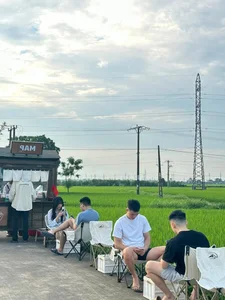Experience the Charm of a Unique Coffee Shop Nestled in the Green Rice Fields of Thai Binh - image 0