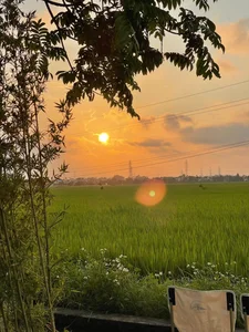 Experience the Charm of a Unique Coffee Shop Nestled in the Green Rice Fields of Thai Binh - image 8