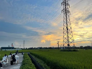 Experience the Charm of a Unique Coffee Shop Nestled in the Green Rice Fields of Thai Binh - image 3