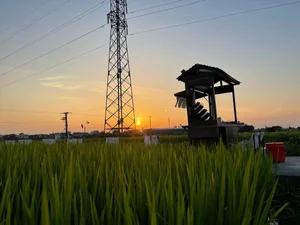 Experience the Charm of a Unique Coffee Shop Nestled in the Green Rice Fields of Thai Binh - image 4