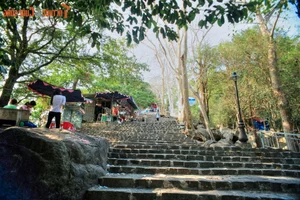 Sacred Mountains of Southern Vietnam That Attract Millions of Spiritual Travelers - image 8