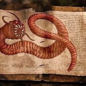 The Gobi Death Worm: Fact or Fiction in the Desert Sands? - image 4