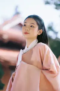 Graceful Vietnamese Beauty: Young Woman in Traditional Attire, Embodying Cultural Heritage and Ao Dai Charm 1000024460 - image 7