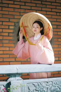Graceful Vietnamese Beauty: Young Woman in Traditional Attire, Embodying Cultural Heritage and Ao Dai Charm 1000024460 - image 17