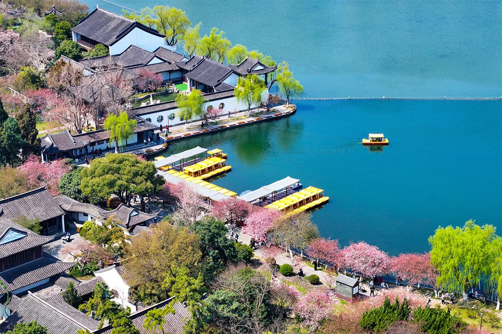 Spring Blossoms Across China: A Vibrant Journey Through Nature's Best Seasonal Displays