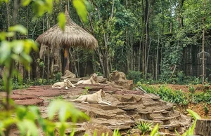 Vinpearl Safari Celebrates Success in Rare Wildlife Rescue and Breeding - image 0