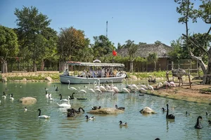 Vinpearl Safari Celebrates Success in Rare Wildlife Rescue and Breeding - image 1